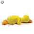 Suntoys 12" My Yellow Duck Plush